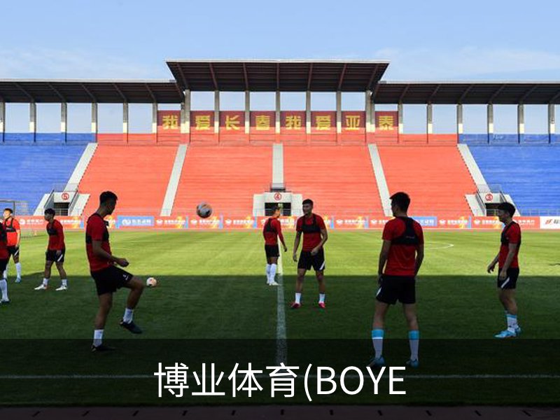 关于博业体育(BOYE